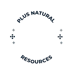 +NR | Stamp Logo