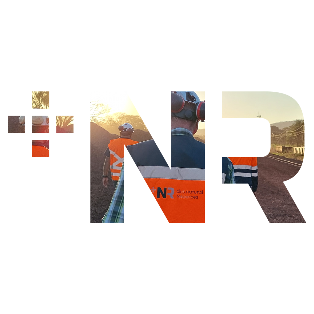 +NR | Logo Placeholder
