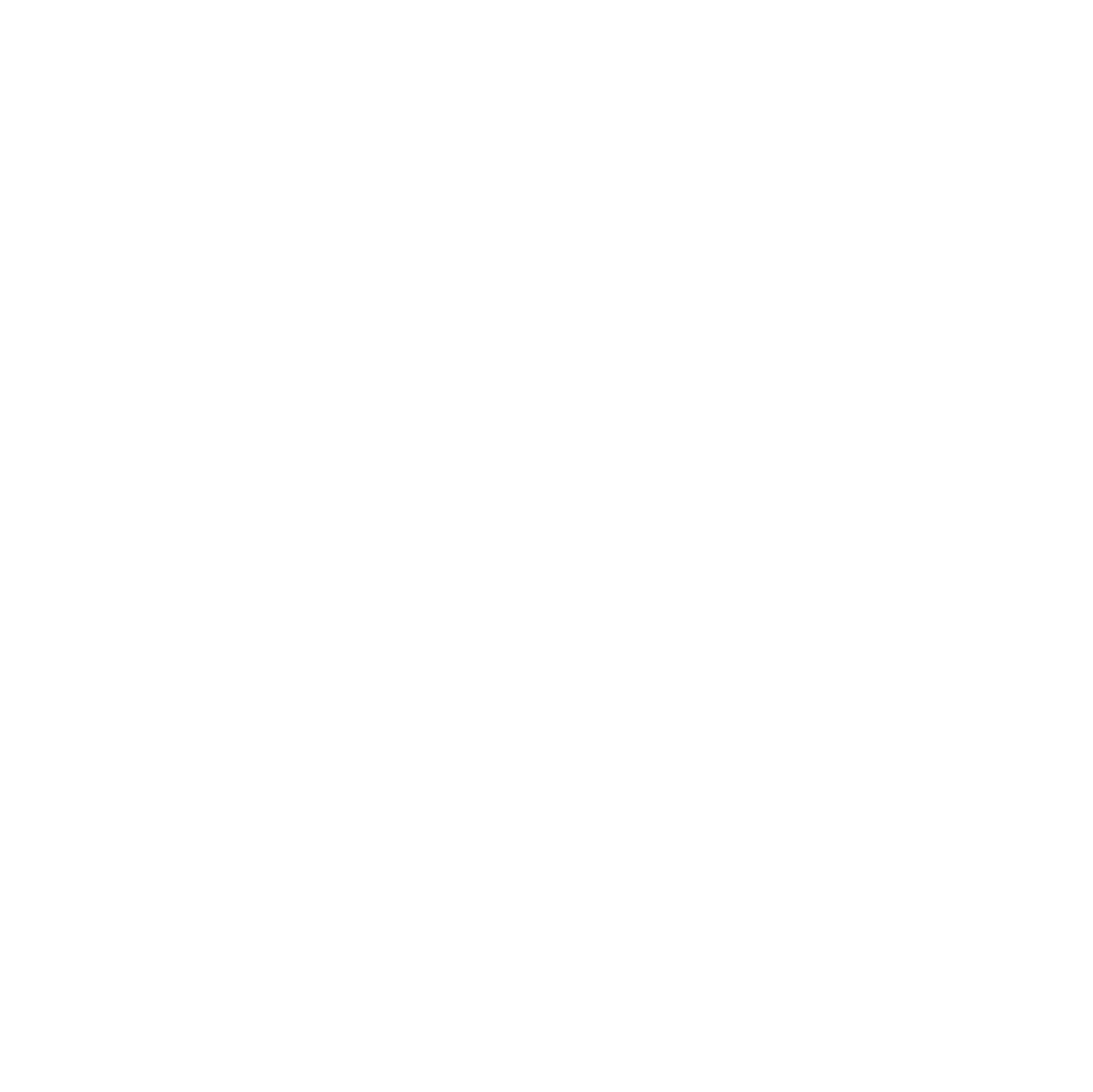 +NR Logo